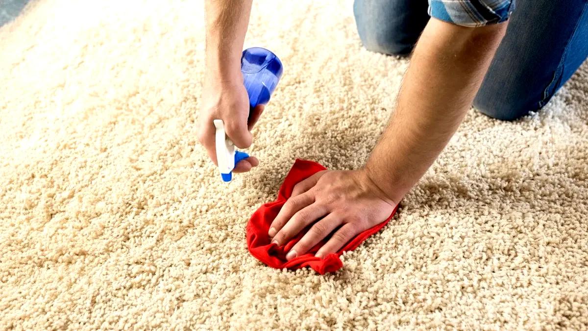 tamo-ristorante-10-modi-semplici-ed-efficaci-per-pulire-il-tuo-tappeto