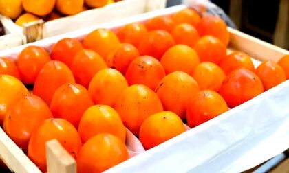 tamo-ristorante-6-benefici-del-cachi-ecco-perche-dovresti-mangiarlo