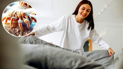 tamo-ristorante-addio-acari-questo-trucco-efficace-pulisce-materassi-e-divani-a-fondo