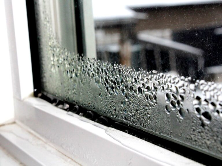 tamo-ristorante-basta-una-tazza-trucco-geniale-contro-l-appannamento-dei-vetri-e-per-aria-fresca