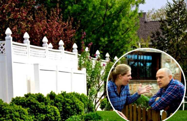 tamo-ristorante-cosa-fare-se-gli-alberi-del-vicino-fanno-ombra-sul-tuo-giardino