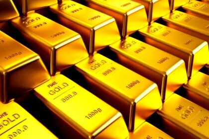 tamo-ristorante-fund-des-jahrhunderts-in-einem-bepflanzten-feld-wurden-munzen-und-goldbarren-gefunde