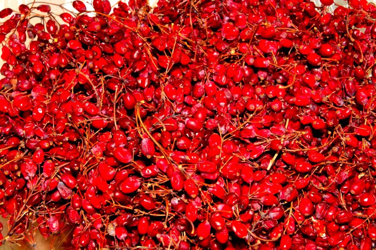 tamo-ristorante-funziona-meglio-della-marmellata-acida-ideale-per-fegato-e-reni-affaticati