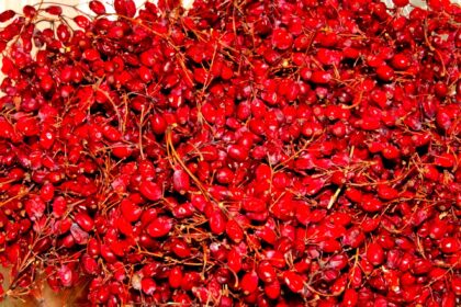 tamo-ristorante-funziona-meglio-della-marmellata-acida-ideale-per-fegato-e-reni-affaticati