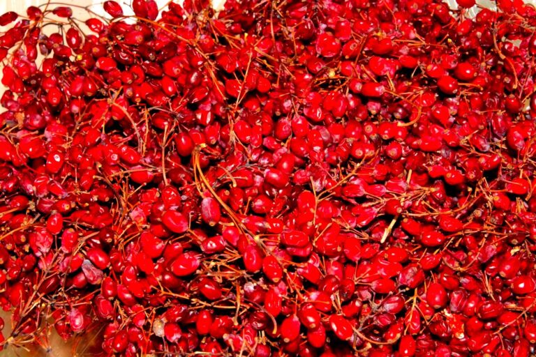 tamo-ristorante-funziona-meglio-della-marmellata-acida-ideale-per-fegato-e-reni-affaticati