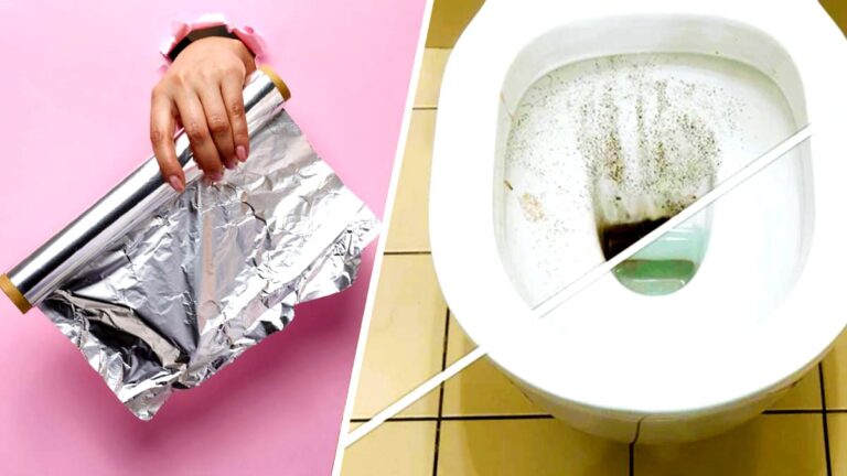 tamo-ristorante-il-trucco-geniale-con-la-carta-stagnola-per-pulire-il-wc-che-sempre-piu-persone-adot