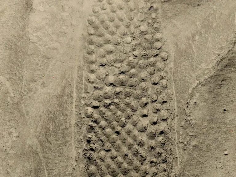 tamo-ristorante-la-misteriosa-costruzione-degli-inca-resta-un-enigma-da-quasi-un-secolo-hanno-gli-ar