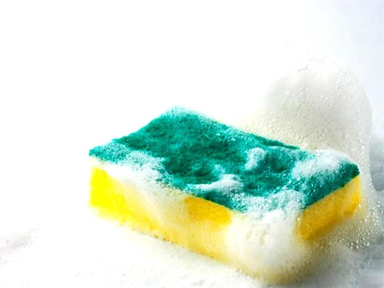 tamo-ristorante-la-spugna-della-tua-cucina-e-piena-di-batteri-un-trucco-di-pulizia-che-aiuta-davvero