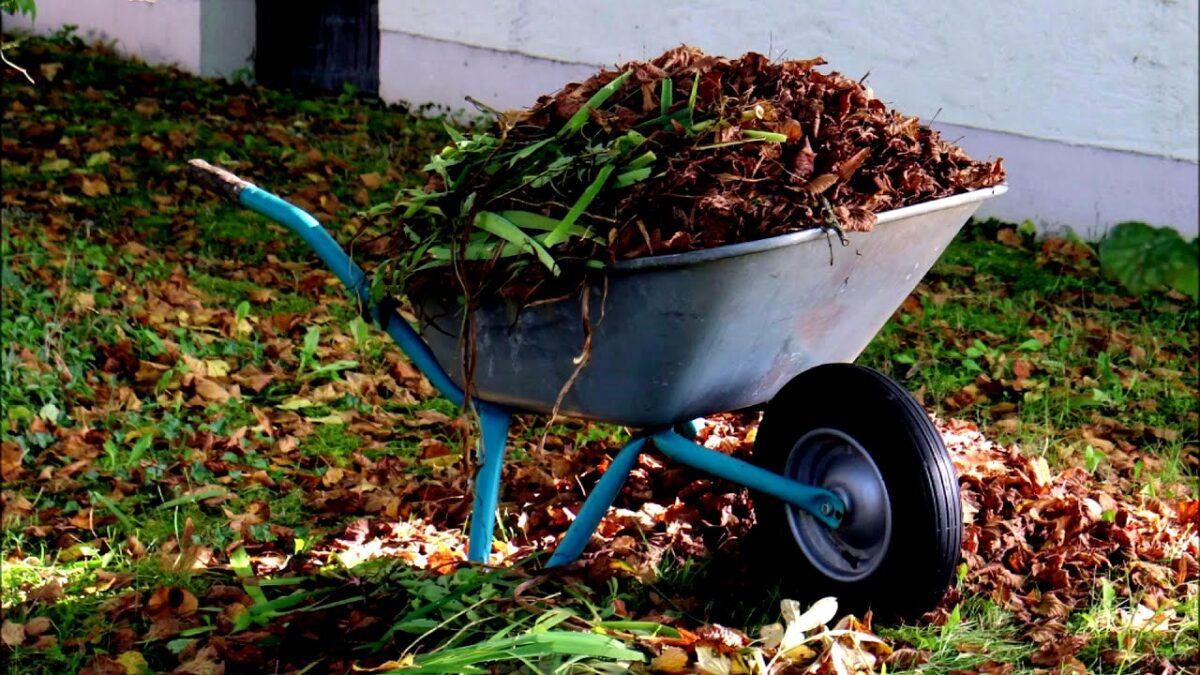 tamo-ristorante-la-stagione-delle-foglie-cadute-nei-giardini-e-in-pieno-svolgimento-ecco-alcuni-cons