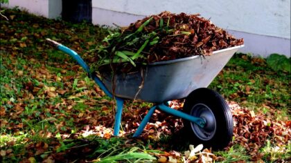 tamo-ristorante-la-stagione-delle-foglie-cadute-nei-giardini-e-in-pieno-svolgimento-ecco-alcuni-cons