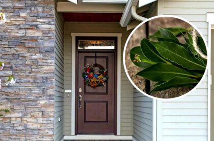 tamo-ristorante-lorbeerblatter-an-die-eingangstur-hangen-warum-ist-das-empfehlenswert