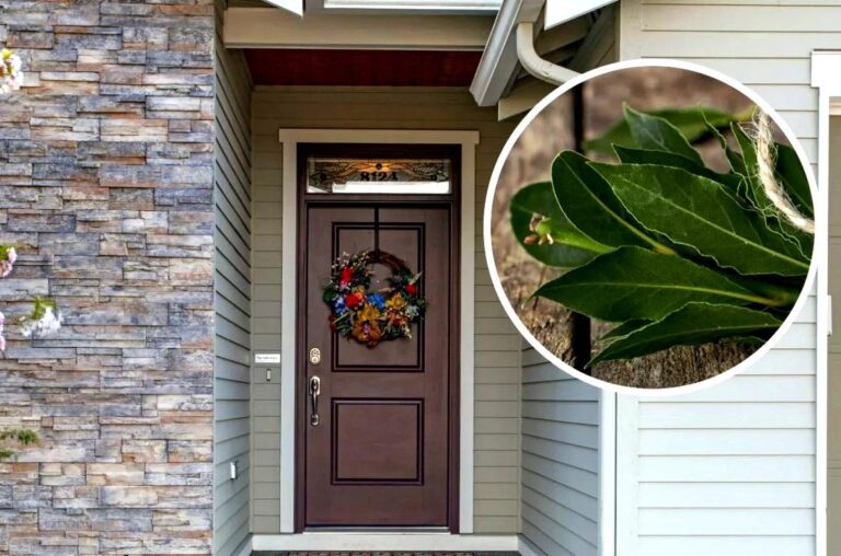 tamo-ristorante-lorbeerblatter-an-die-eingangstur-hangen-warum-ist-das-empfehlenswert