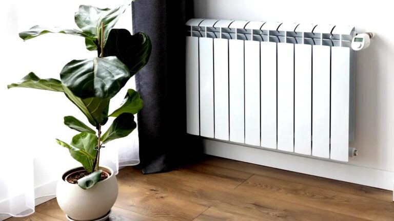 tamo-ristorante-mettere-il-sacchetto-sul-termosifone-un-metodo-rapido-per-ridurre-lo-stress-e-sciogl