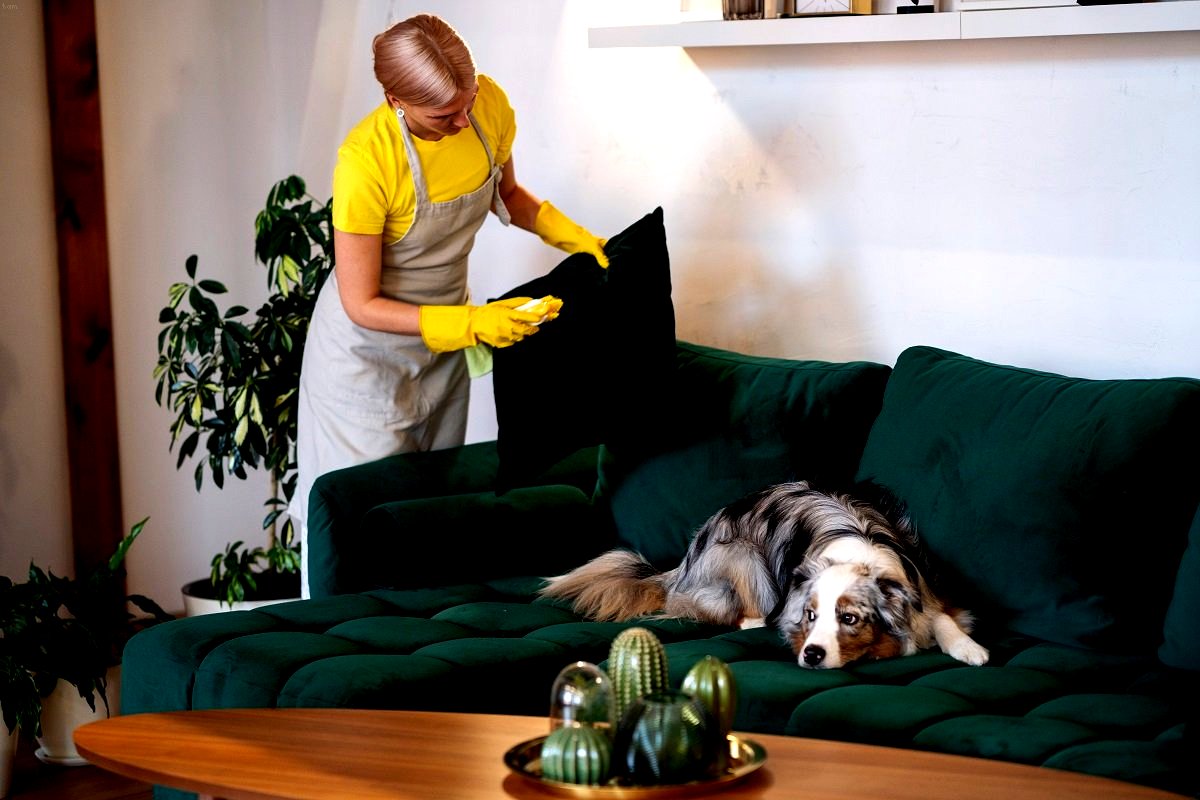 tamo-ristorante-ne-aceto-ne-bicarbonato-un-trucco-semplice-che-gli-esperti-consigliano-per-eliminare