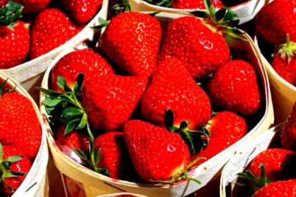 tamo-ristorante-ne-in-frigorifero-ne-nella-fruttiera-ecco-il-posto-migliore-per-conservare-le-fragol