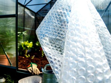 tamo-ristorante-non-buttate-via-il-pluriball-potete-usarlo-in-giardino