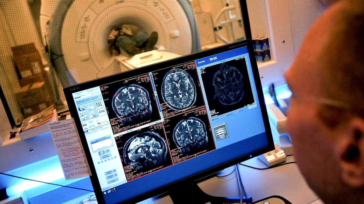 tamo-ristorante-nuove-terapie-geniche-che-possono-ripristinare-la-memoria-perduta-con-l-eta