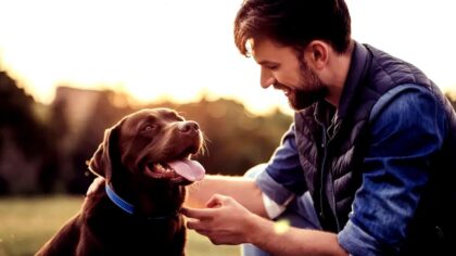 tamo-ristorante-perche-i-cani-sono-gli-animali-domestici-perfetti