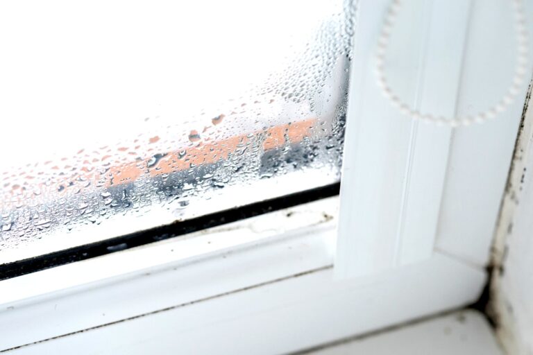 tamo-ristorante-perche-la-finestra-e-bagnata-all-interno-metti-questo-sul-davanzale-e-l-umidita-scom