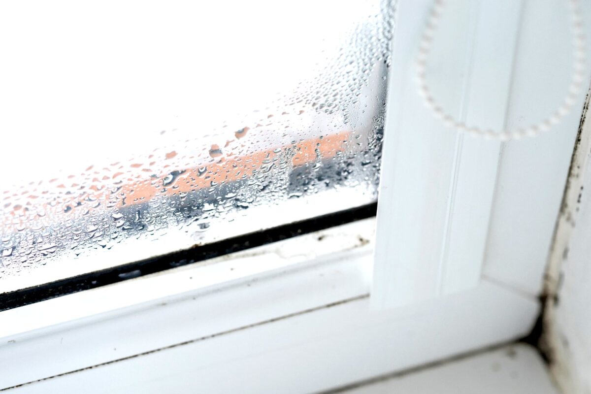tamo-ristorante-perche-la-finestra-e-bagnata-all-interno-metti-questo-sul-davanzale-e-l-umidita-scom