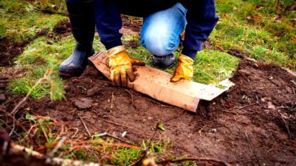 tamo-ristorante-piantare-a-novembre-in-primavera-il-giardino-sara-senza-erbacce