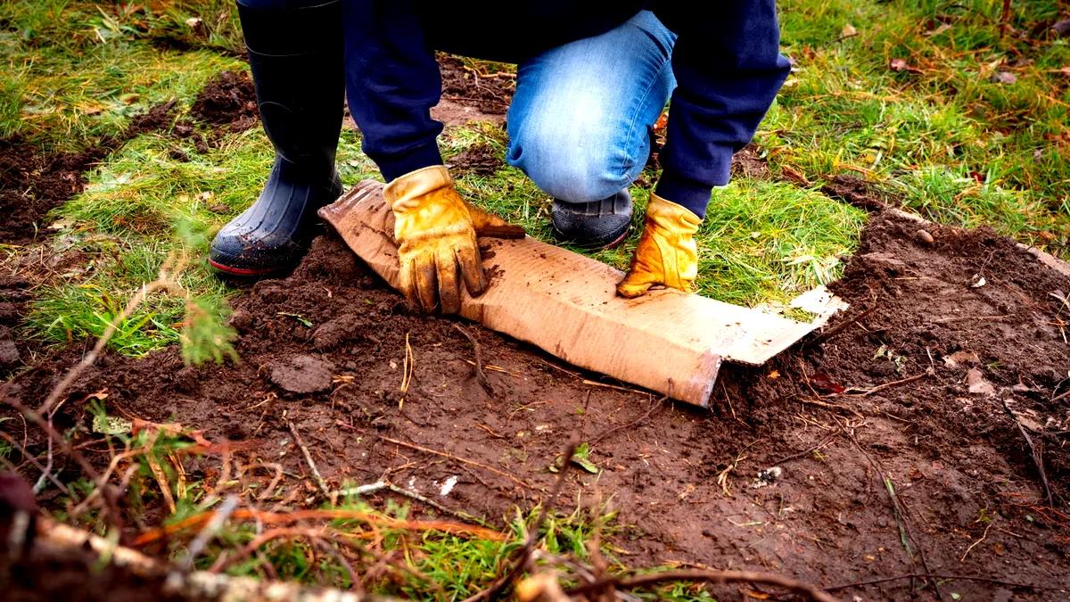 tamo-ristorante-piantare-a-novembre-in-primavera-il-giardino-sara-senza-erbacce
