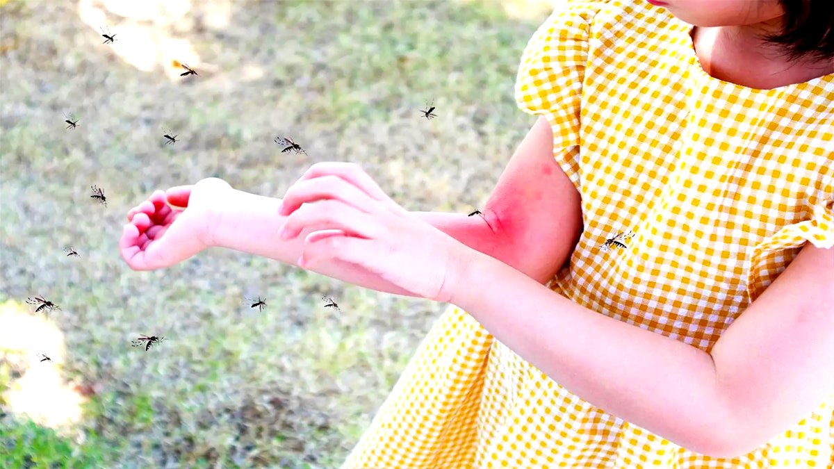 tamo-ristorante-questi-antizanzare-sono-da-evitare-anche-in-inverno-pericolosi-per-la-salute