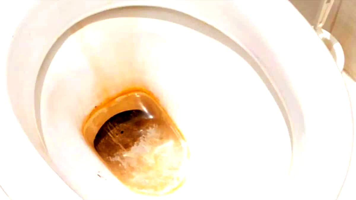 tamo-ristorante-questo-trucco-casalingo-efficace-per-eliminare-il-calcare-dal-wc-con-soli-2-ingredie