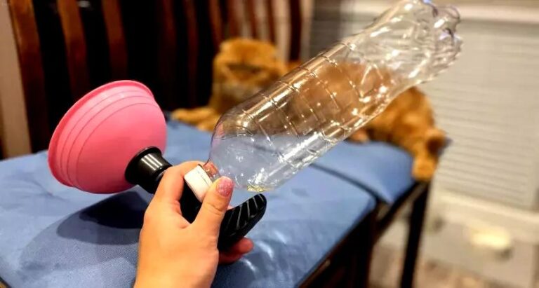 tamo-ristorante-taglio-una-bottiglia-di-plastica-e-ogni-otturazione-vola-via-con-un-sibilo-lo-faccio