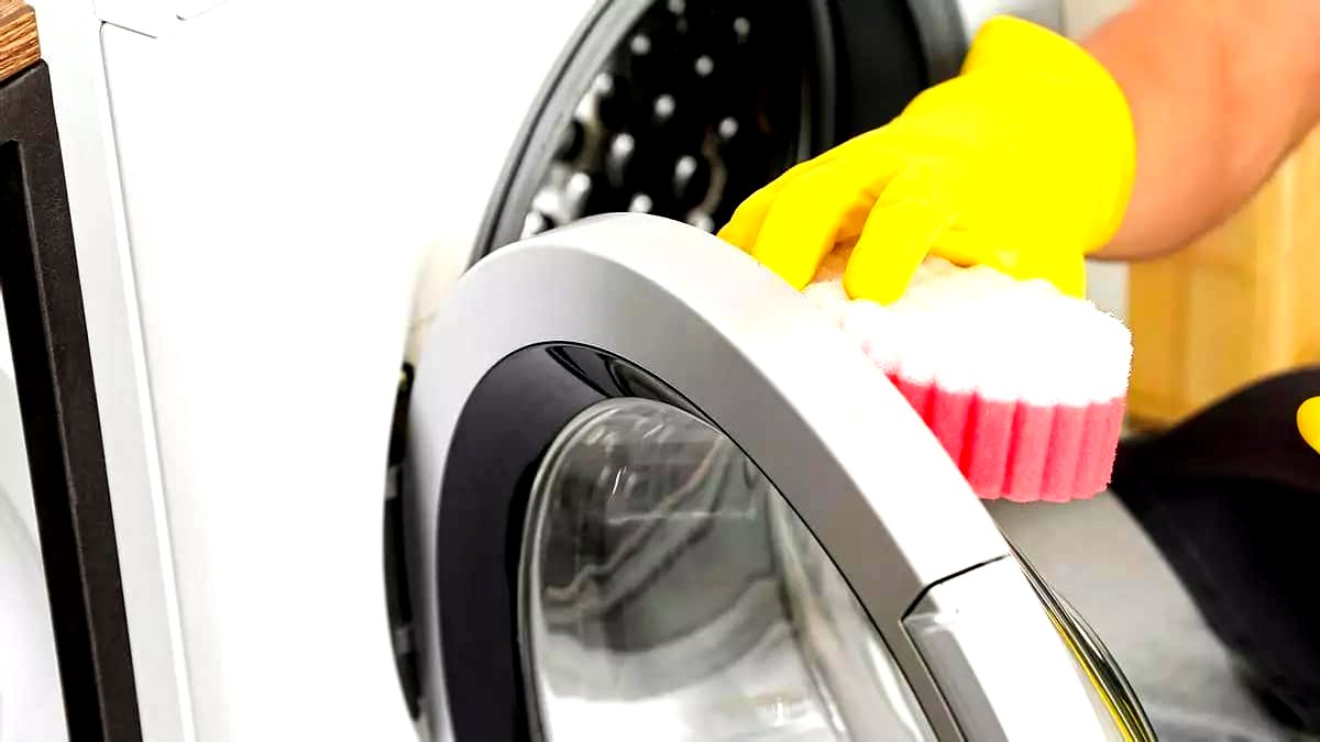 tamo-ristorante-un-cucchiaio-sulla-guarnizione-della-lavatrice-un-trucco-usato-da-sempre-piu-persone