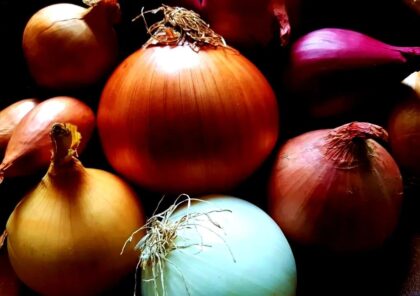 tamo-ristorante-un-metodo-ingegnoso-per-conservare-le-cipolle-cosi-restano-fresche-per-un-mese