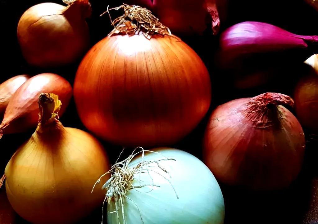 tamo-ristorante-un-metodo-ingegnoso-per-conservare-le-cipolle-cosi-restano-fresche-per-un-mese