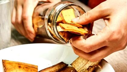 tamo-ristorante-un-nuovo-trucco-con-le-bucce-di-banana-si-diffonde-rapidamente-basta-metterle-in-for