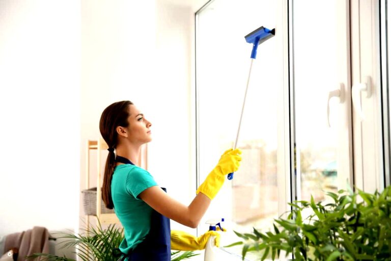tamo-ristorante-una-addetta-alle-pulizie-ha-scoperto-il-segreto-per-finestre-brillanti-uno-strato-so