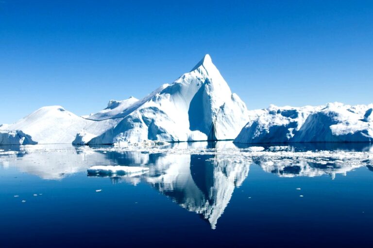 tamo-ristorante-una-scoperta-millenaria-gli-scienziati-trovano-qualcosa-di-inatteso-nell-artico