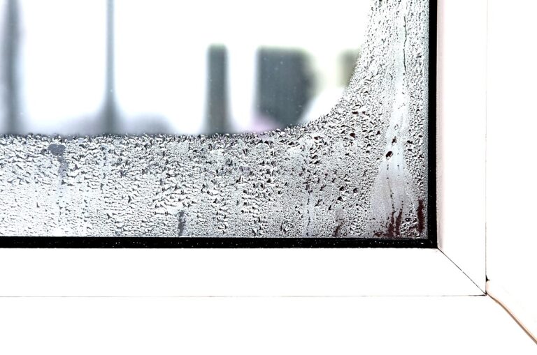 tamo-ristorante-una-soluzione-semplice-ed-efficace-per-prevenire-la-condensa-e-la-muffa-in-casa